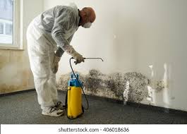 Best Mold Prevention Services  in Snowflake, AZ